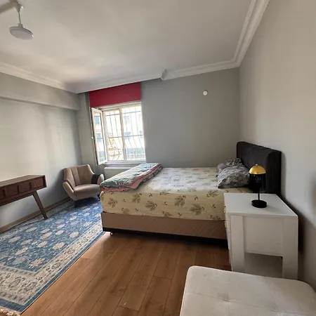 Transit 7 * イスタンブール