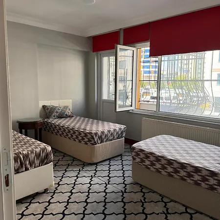 Transit 7 ホームステイ *