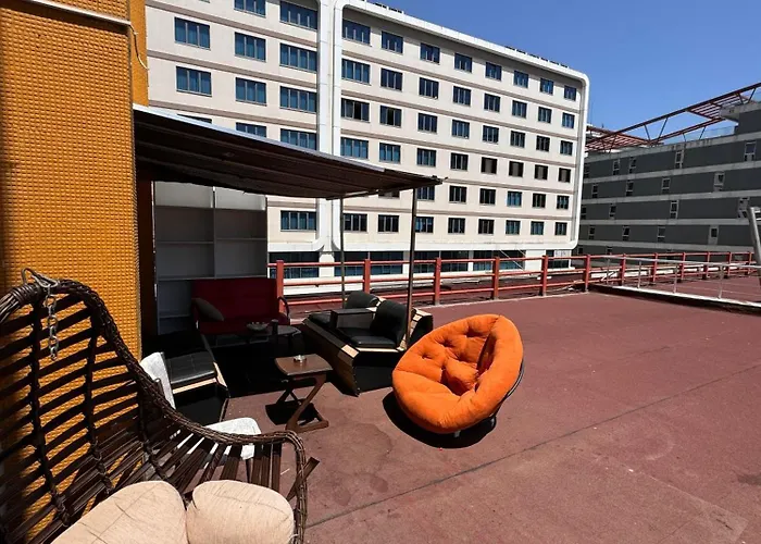 Проживание в семье Transit 7 *